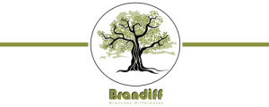 Brandiff branches différentes